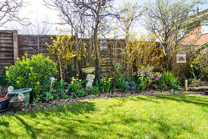 Photo 27- click for photo gallery